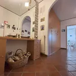 Affitto Turistico Via Bonomea 219-1 شقة